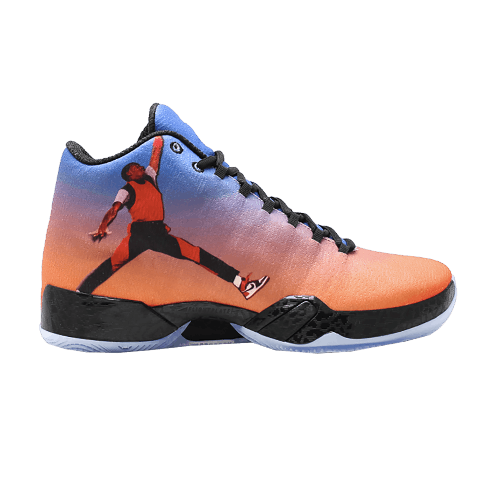 Air Jordan 29 Photo Reel 695515 806