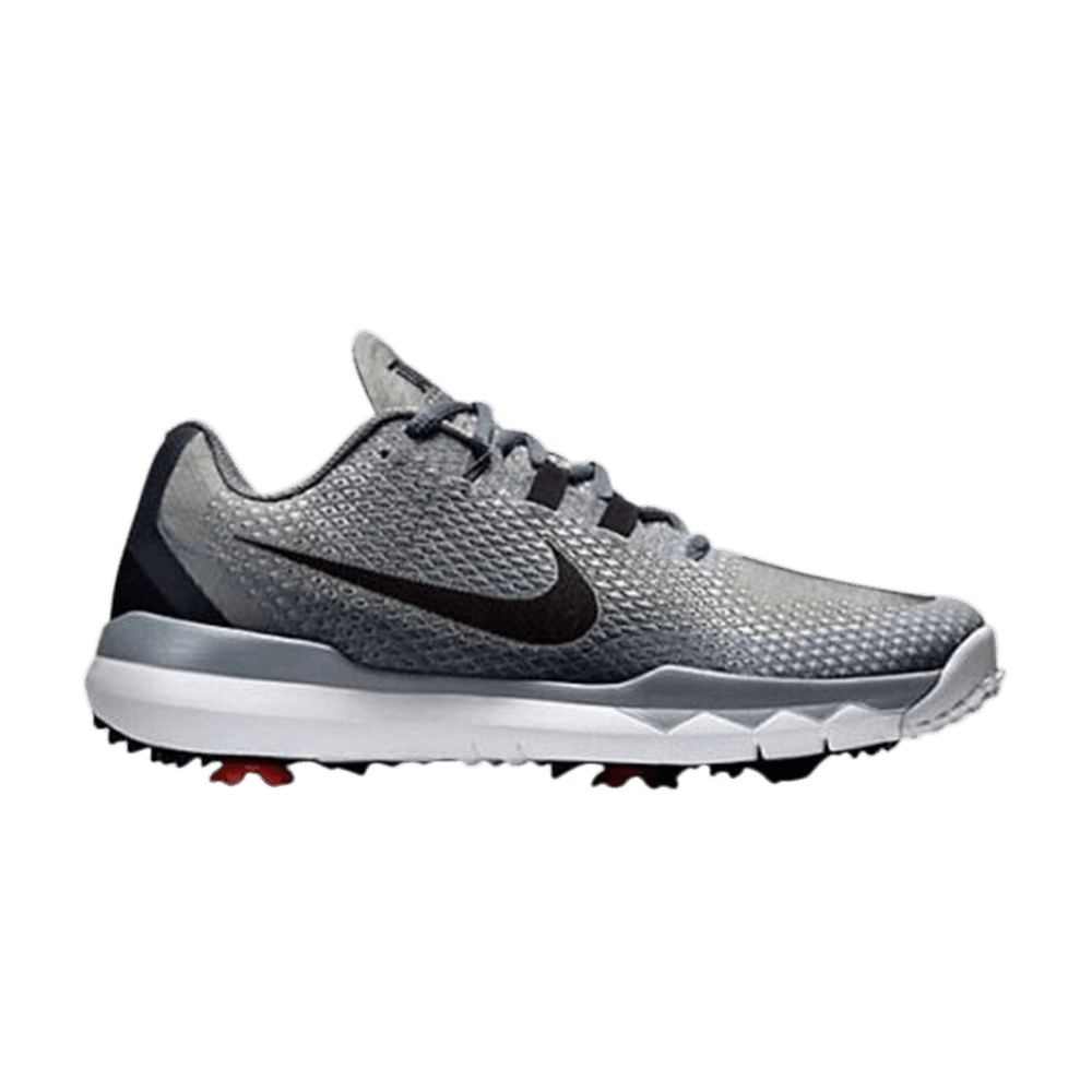 Buy TW 15 Tiger Woods Metallic Silver 704884 002 GOAT CA