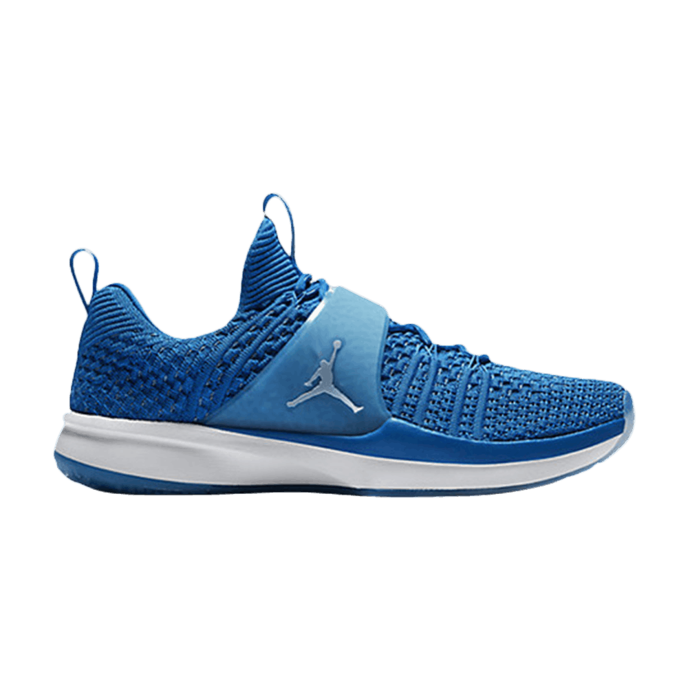 jordan trainer 2 flyknit michigan