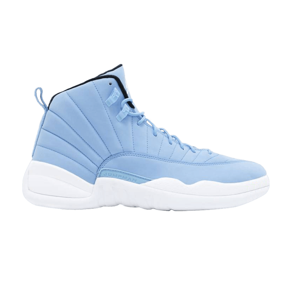 Buy Air Jordan 12 Pantone Collection 205346 047 GOAT