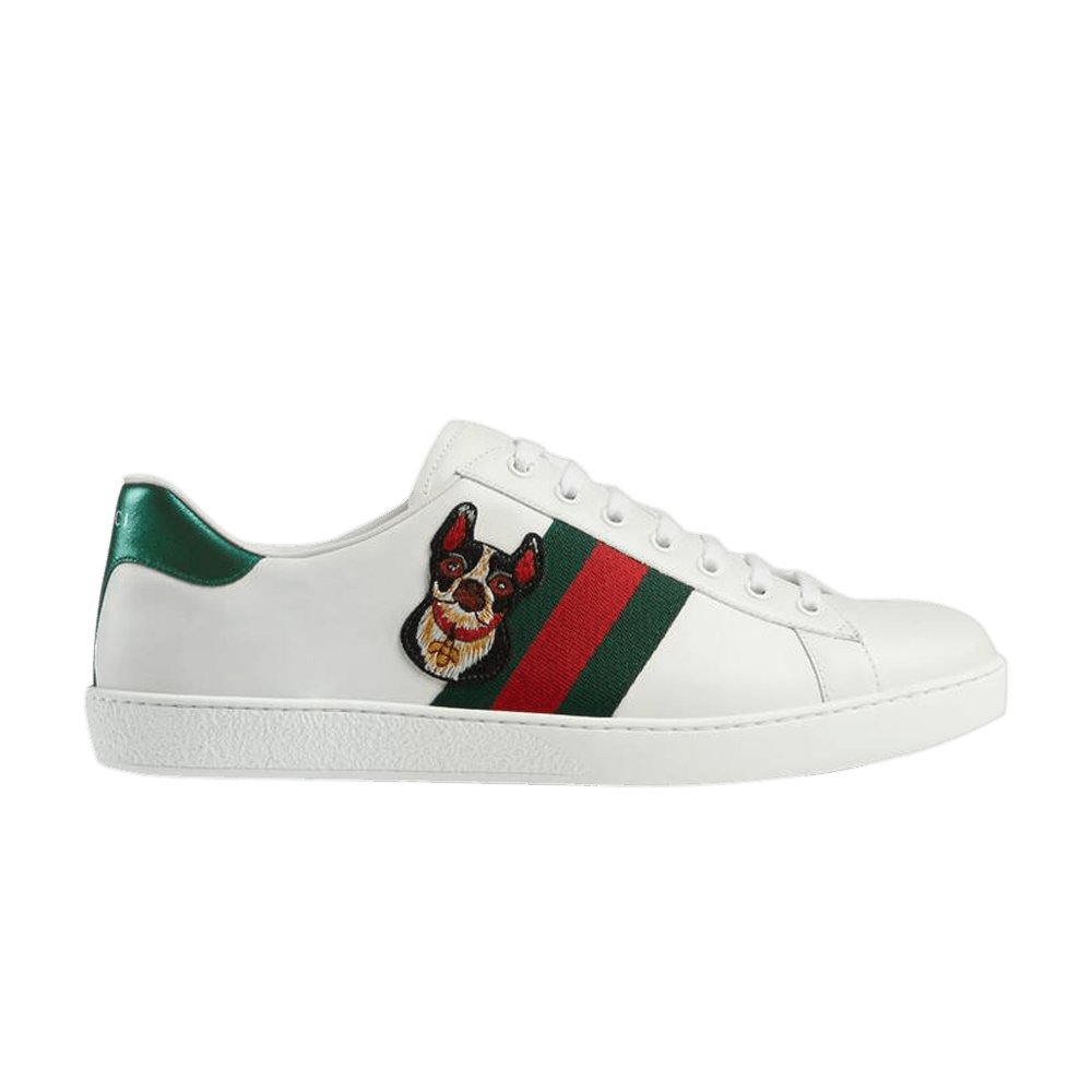 gucci ace sneakers dog