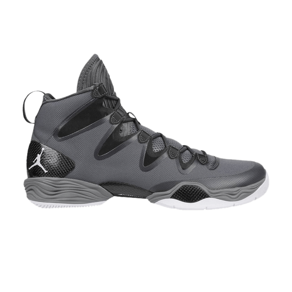 Buy Air Jordan 28 SE Cool Grey 616345 003 GOAT