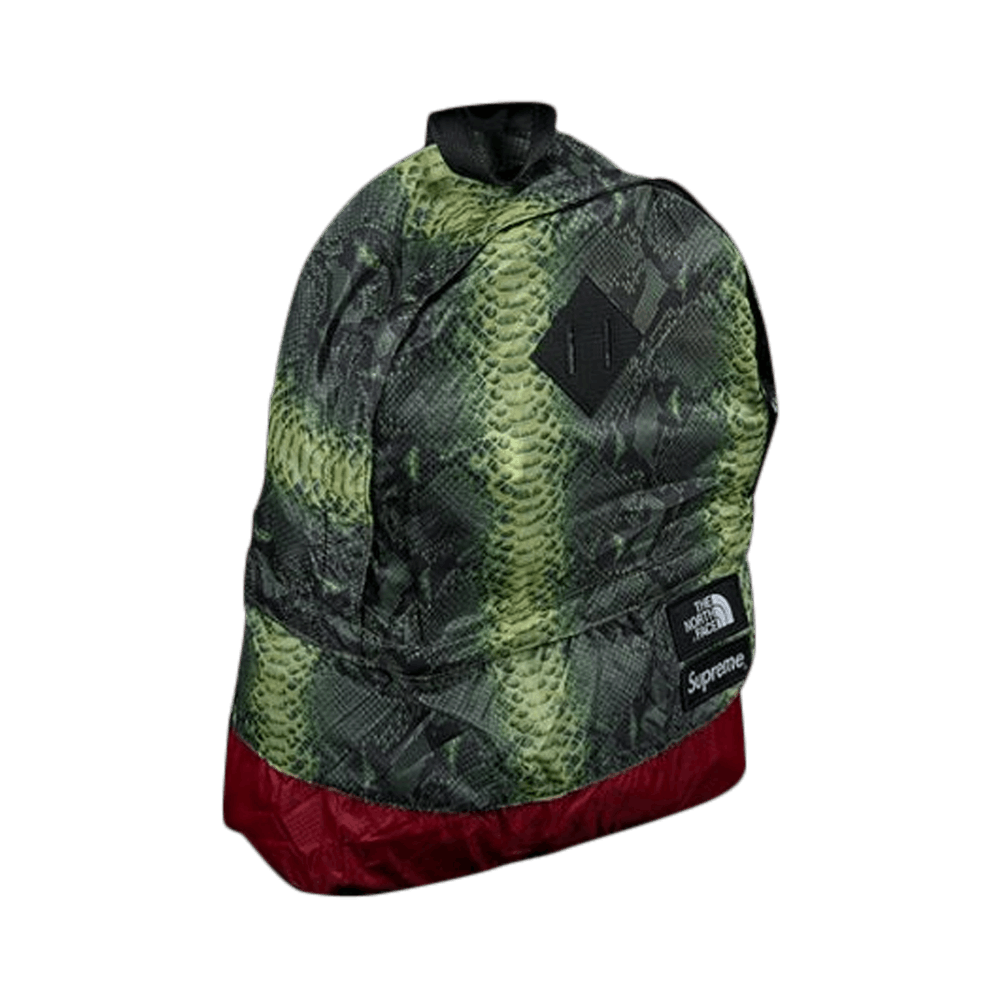 supreme the north face snakeskin lightweight day pack green