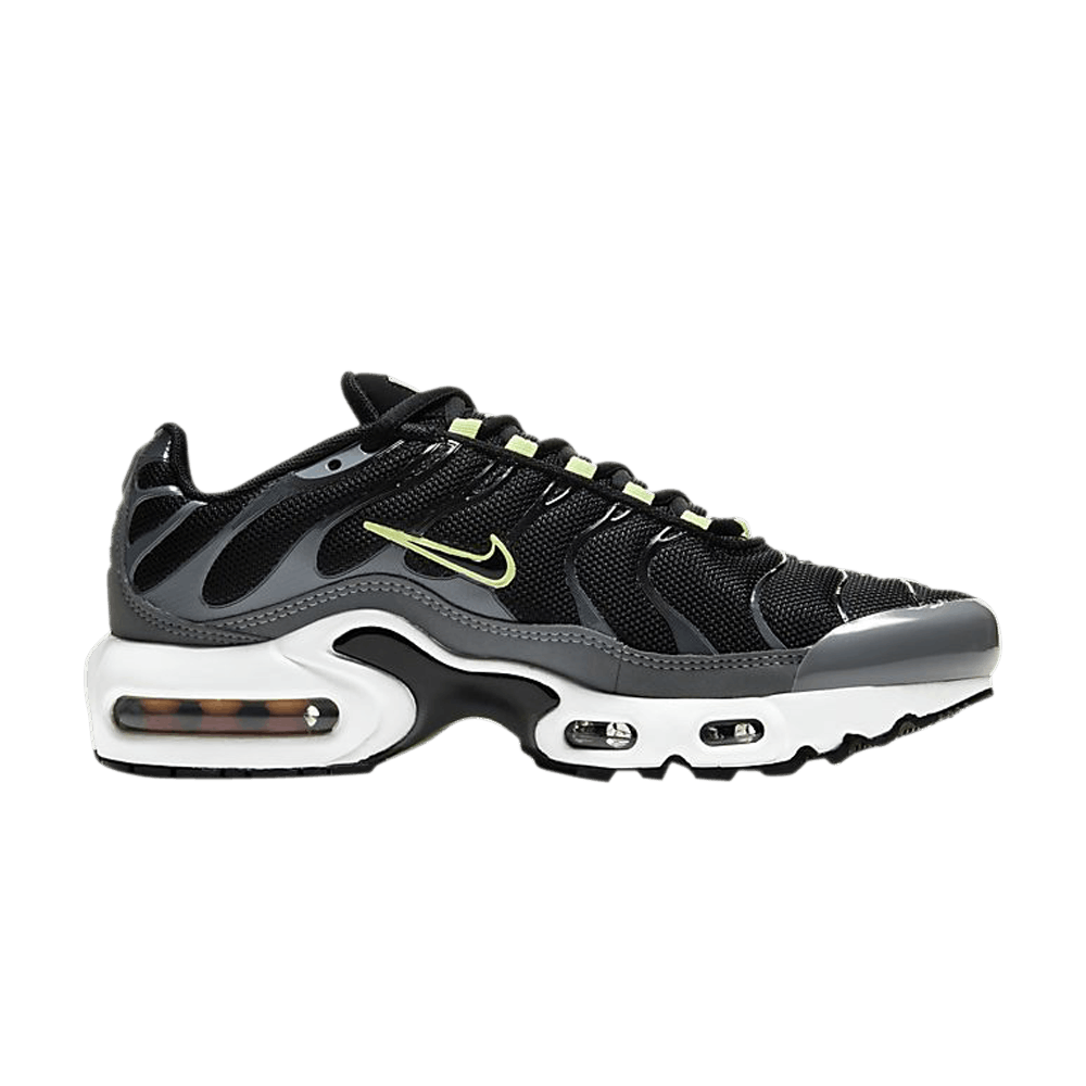 Nike Air Max Plus CD0609-007 from 99,99 €