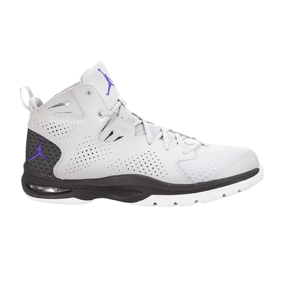 Buy Jordan Ace 23 II Wolf Grey Dark Concord 644773 008 GOAT
