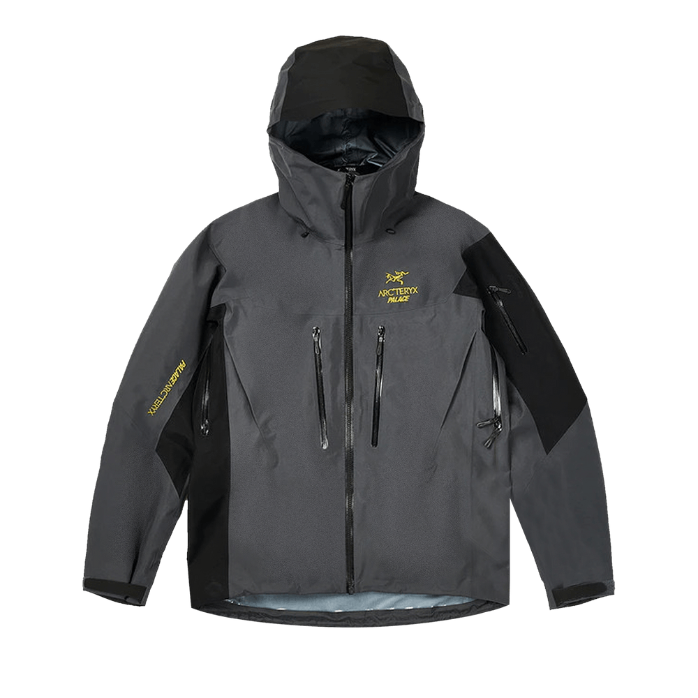 Size xl Palace x Arc'Teryx Alpha SV Jacket 'Grey'