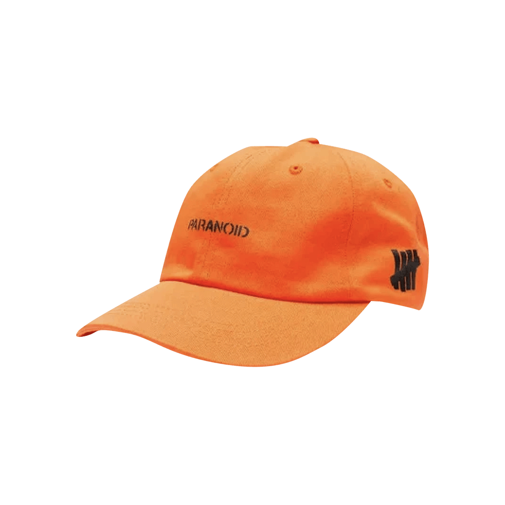 Anti social social on sale club paranoid cap