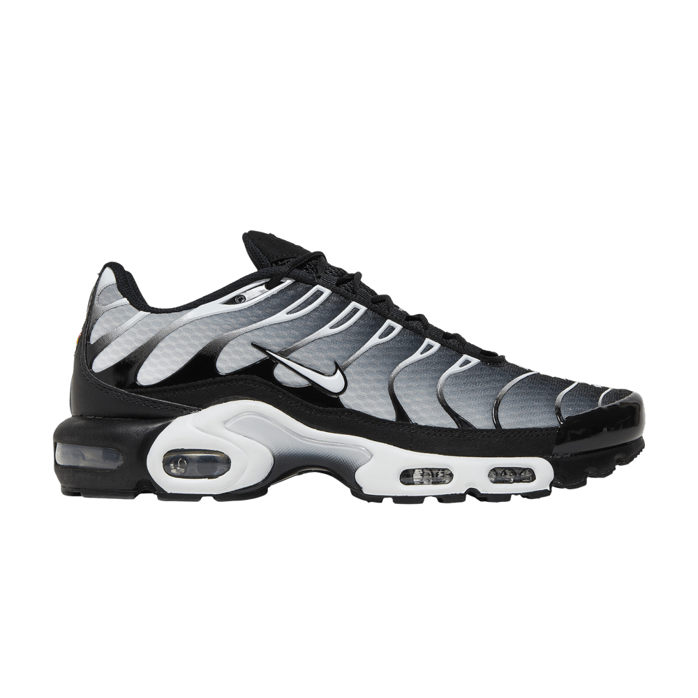 Size 10.0 Air Max Plus Black Metallic Silver