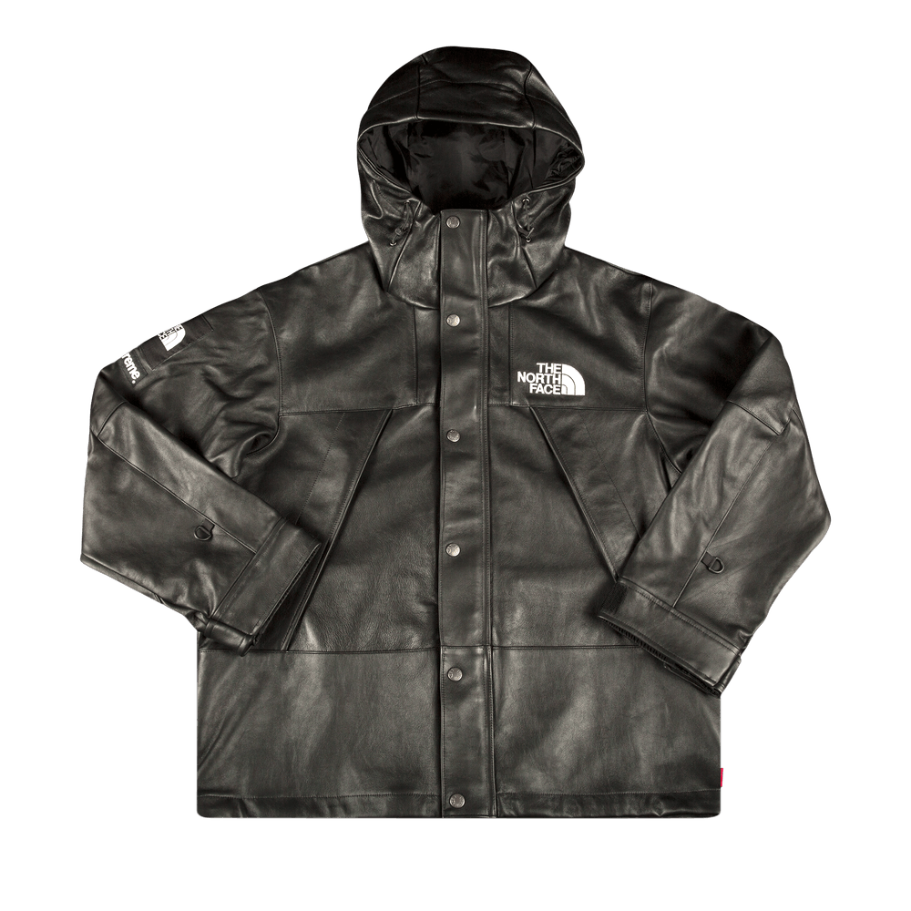 Supreme x The North Face Leather Mountain Parka 'Black'