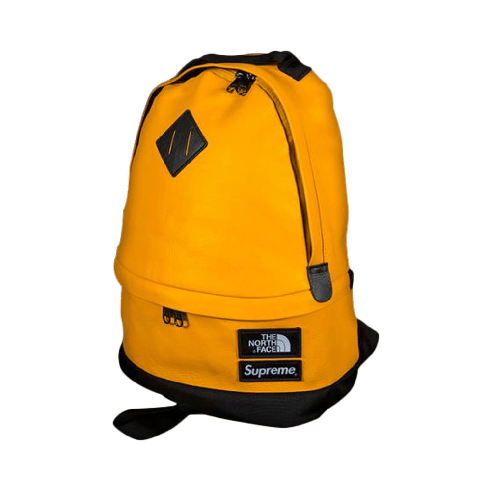 Supreme X The North Face Leather Day Backpack