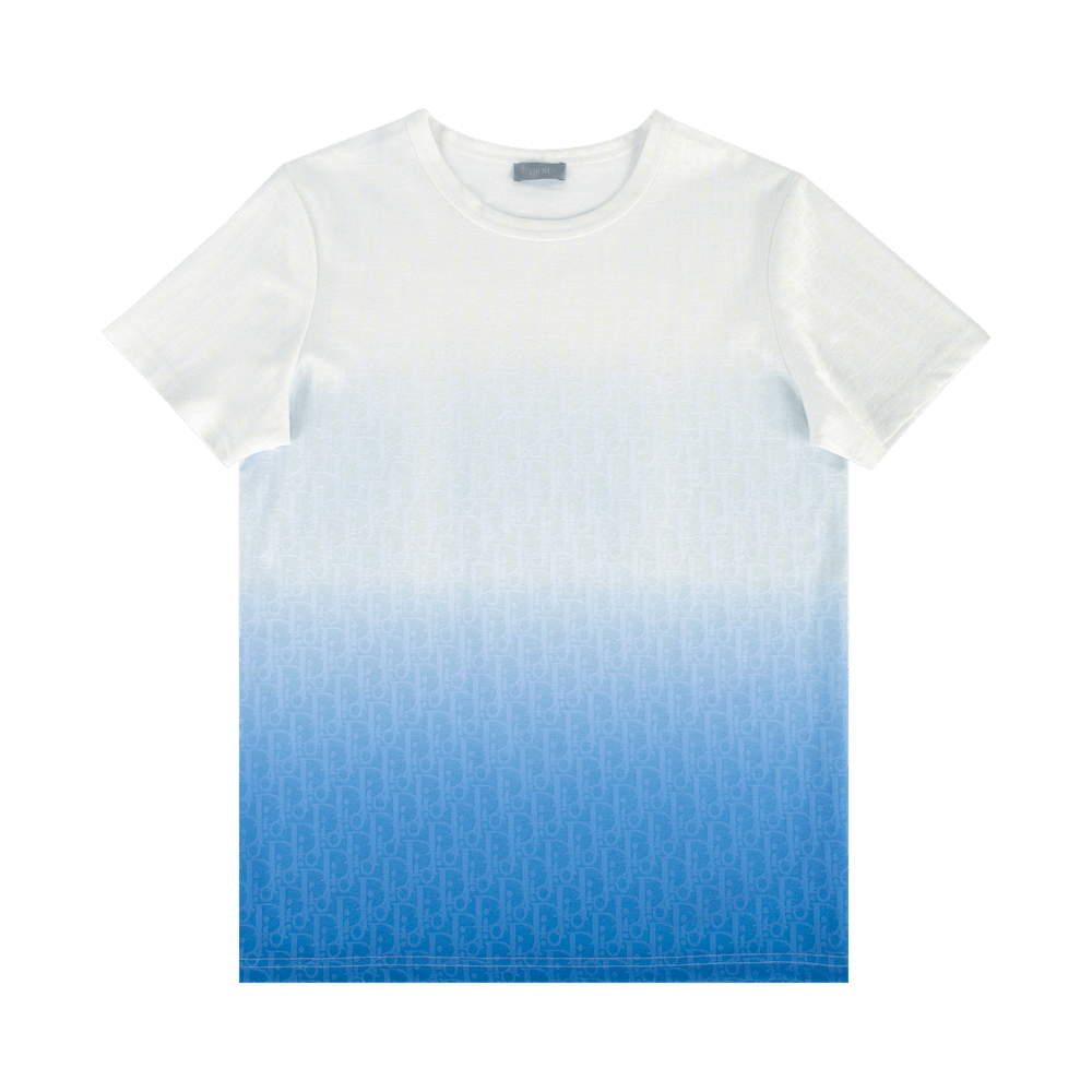 diorTシャツ Dior and Stone Island T-shirt oversized fit