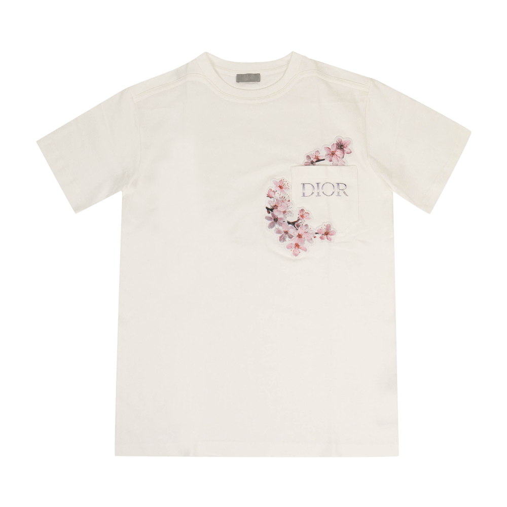 Dior Homme Dior X Sorayama Dinosaur Printed Tshirt in White for Men  Lyst  Canada