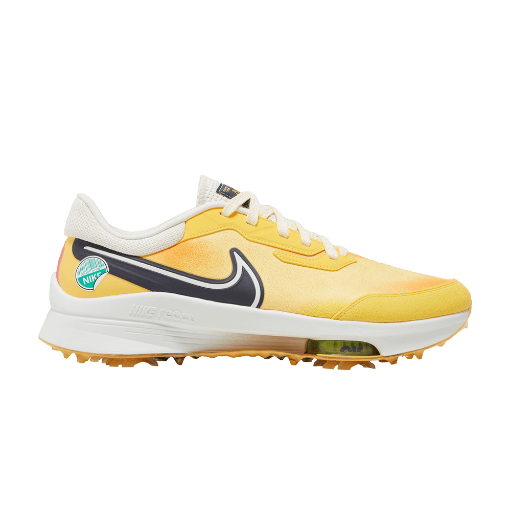 Buy Nike Air Zoom Infinity Tour NEXT% NRG 'Always Fresh' - DV6801