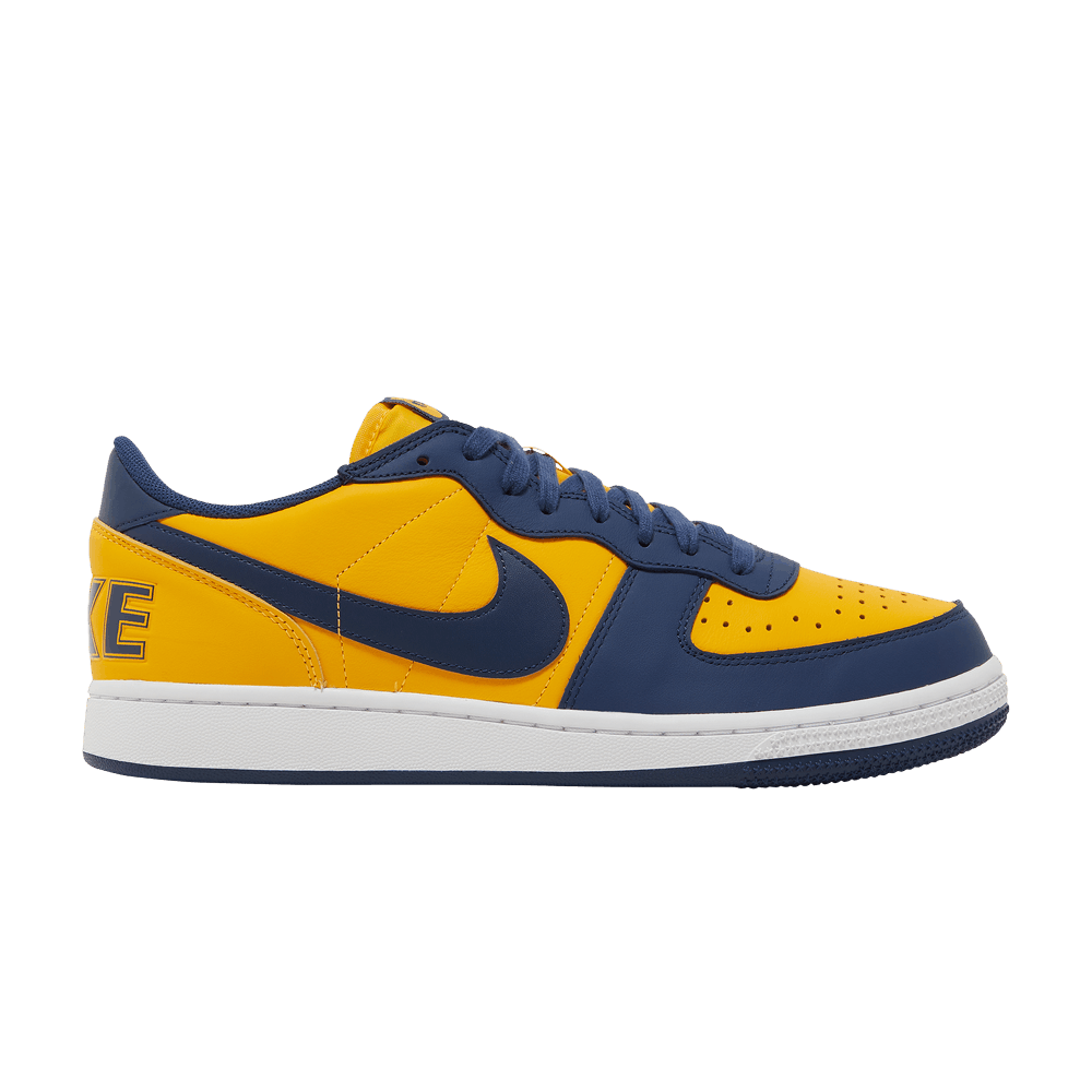 Buy Terminator Low 'Michigan' - FJ4206 700 | GOAT