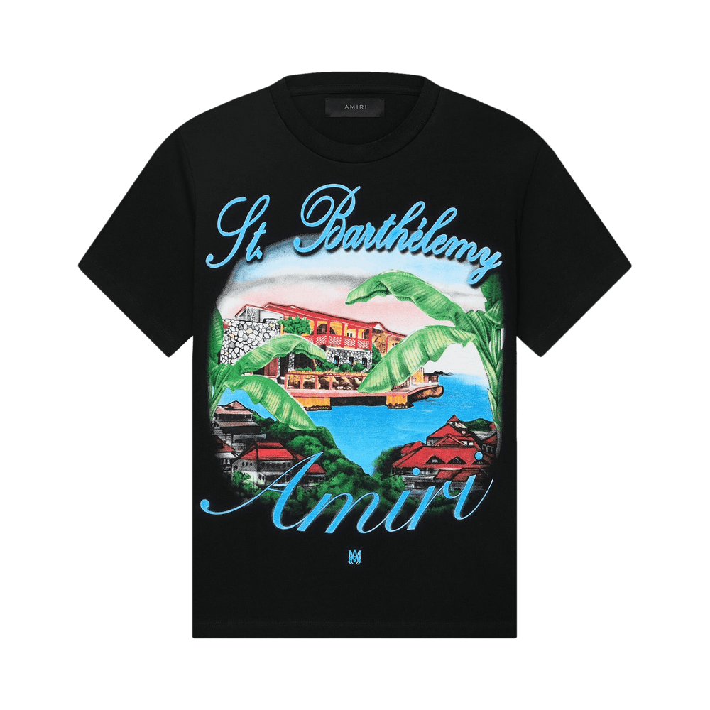 ◆AMIRI◆ パラダイス エアブラシ コットン Tシャツ org.jpg