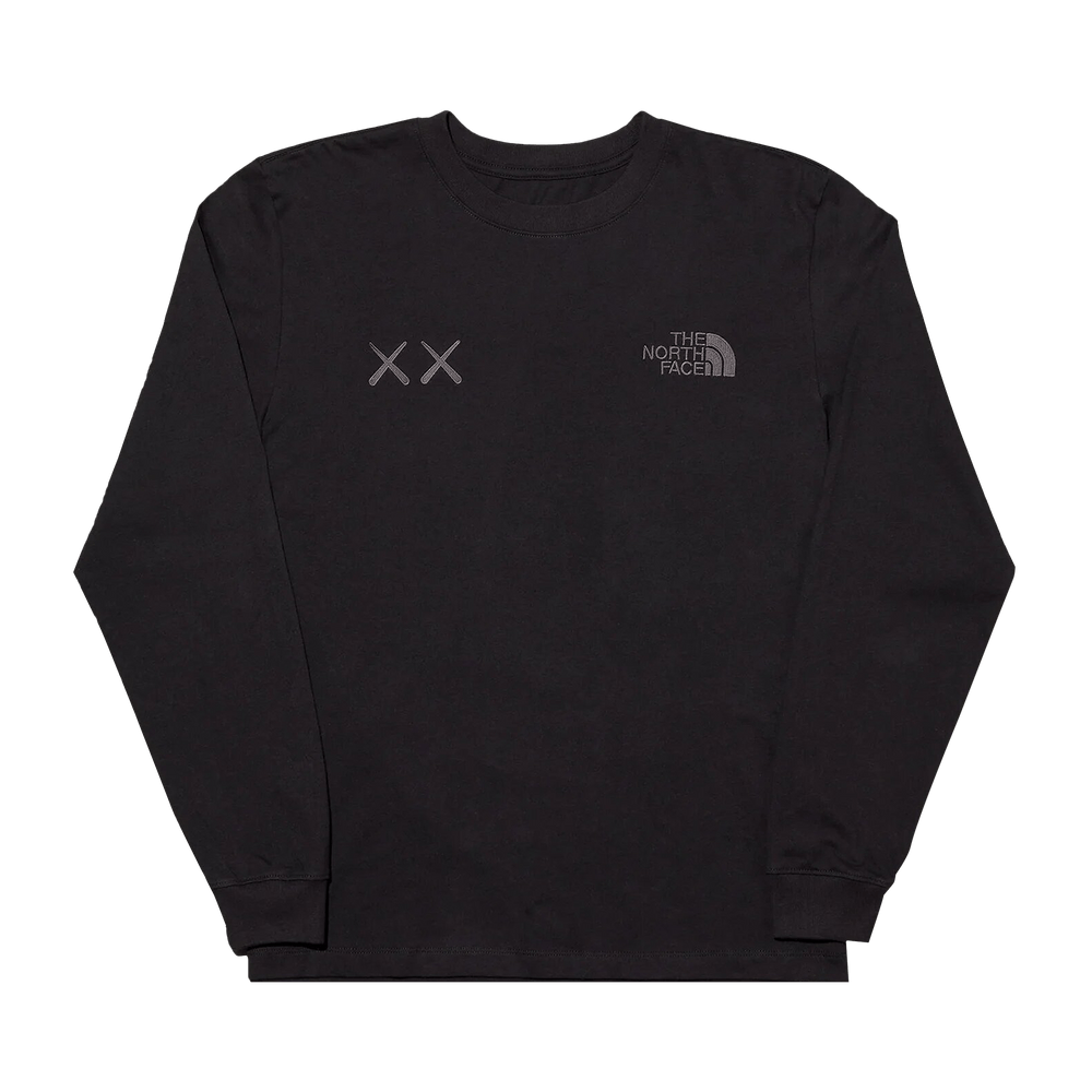 【レア・新品】THE NORTH FACE X KAWS LONG SLEEVE KAWS x THE NORTH FACE x LOGO BLUE EMBROIDERED LS GREY T