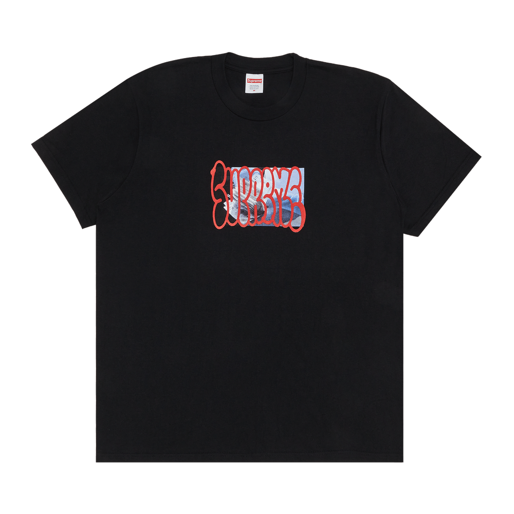 Buy Supreme Payment Tee 'Black' - FW23T55 BLACK | GOAT