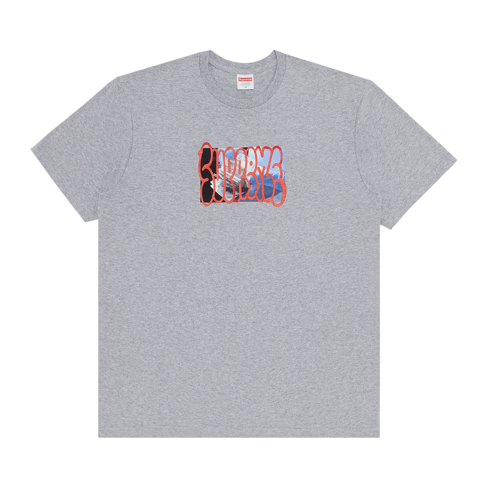 春夏新作モデル Buy Supreme Payment Tee 'Heather Grey' - FW23T55 HEATHER トップス