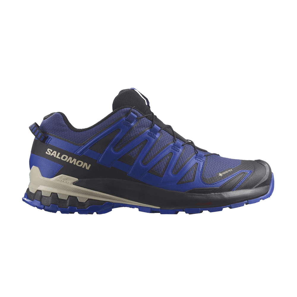 靴 SALOMON XA PRO 3D V8 GTX 27 GORETEX 245049