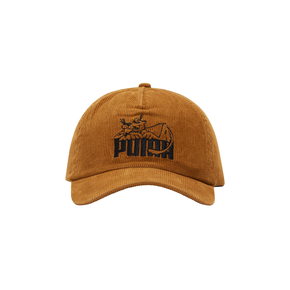 Buy Puma x Noah 5 Panel Cap 'Brown' - 024936 01 | GOAT CA