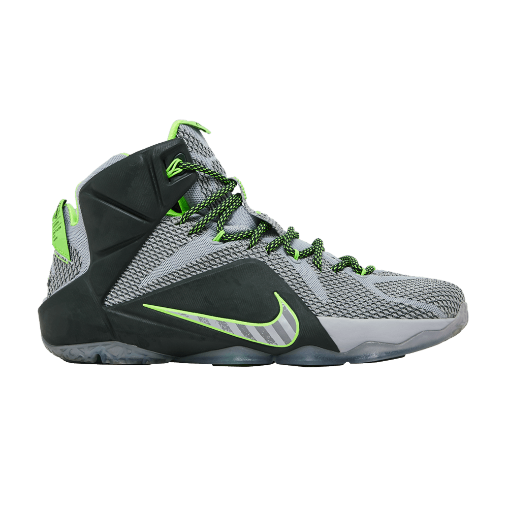Lebron james 12 sales
