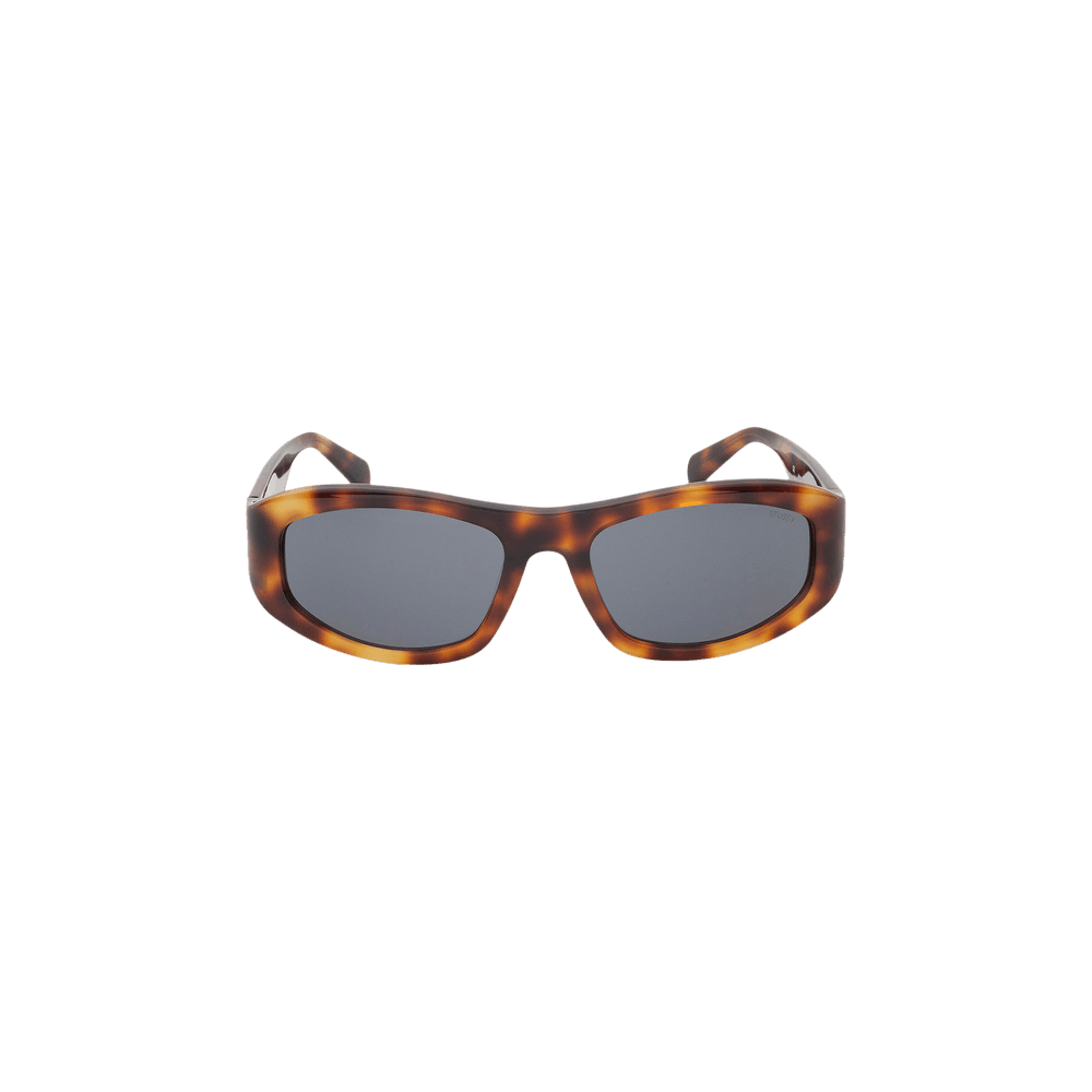 Buy Stussy Landon Sunglasses 'Tortoise/Black' - 338380 TORT | GOAT