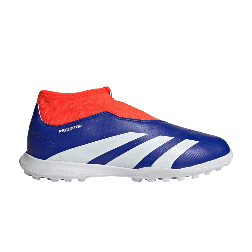 blue predators laceless