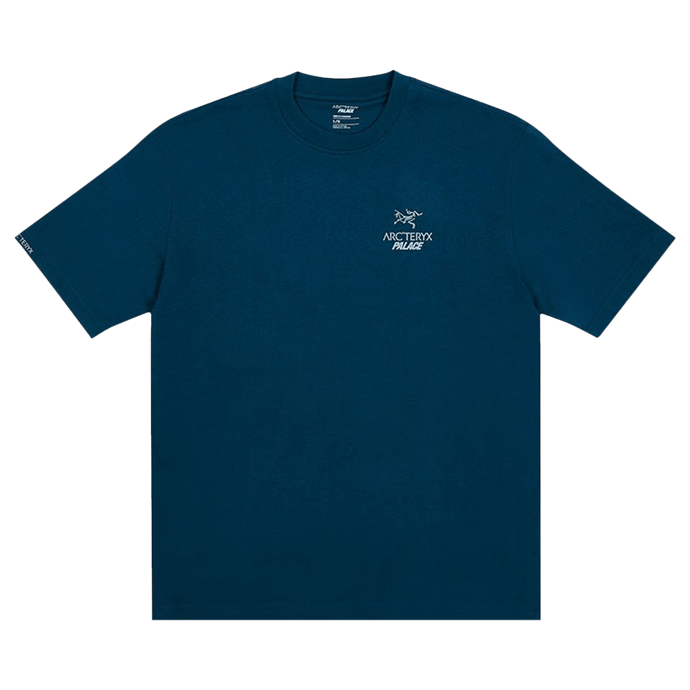 Buy Palace x Arc'teryx T-Shirt 'Teal' - P19ARXTS002 | GOAT
