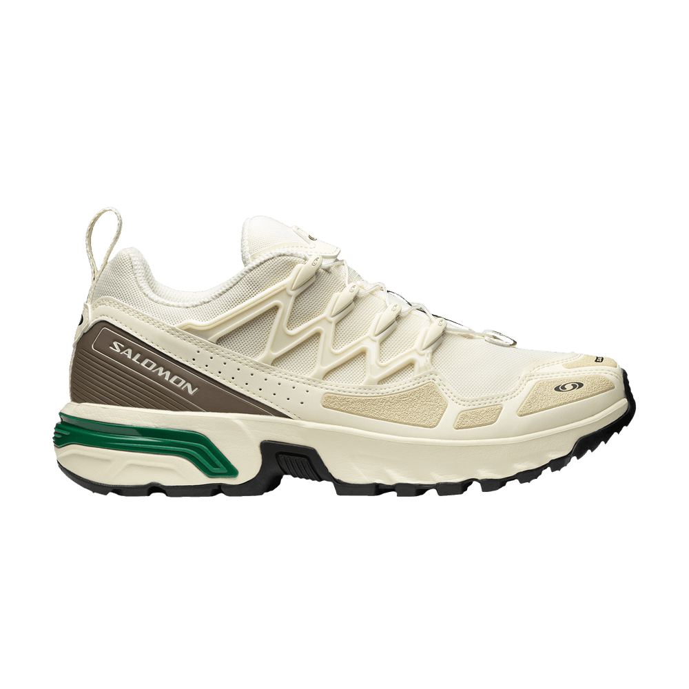☆Salomon☆ Shelter CSWP Falcon Vintage Khaki Vanilla Ice L4 Salomon Advanced XT-6 FT | Vintage Khaki/Peat/Vanilla Ice
