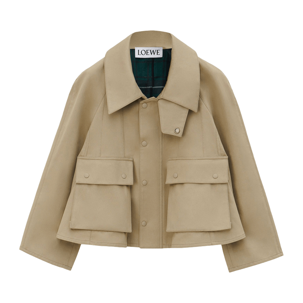 Buy Loewe Trapeze Jacket 'Safari/Beige/Green' - S359Y01XBT