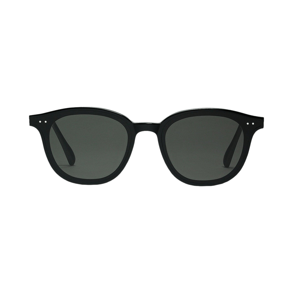 Buy Gentle Monster Lang 01 Sunglasses 'Black' - LANG 01 BLAC | GOAT