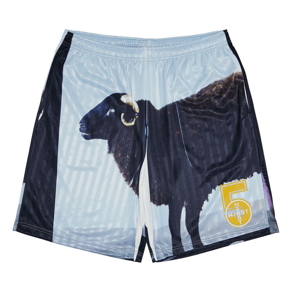 建*家様 Supreme Damien Hirst Soccer Short S Supreme Damien Hirst Soccer Short (SS25) - $128