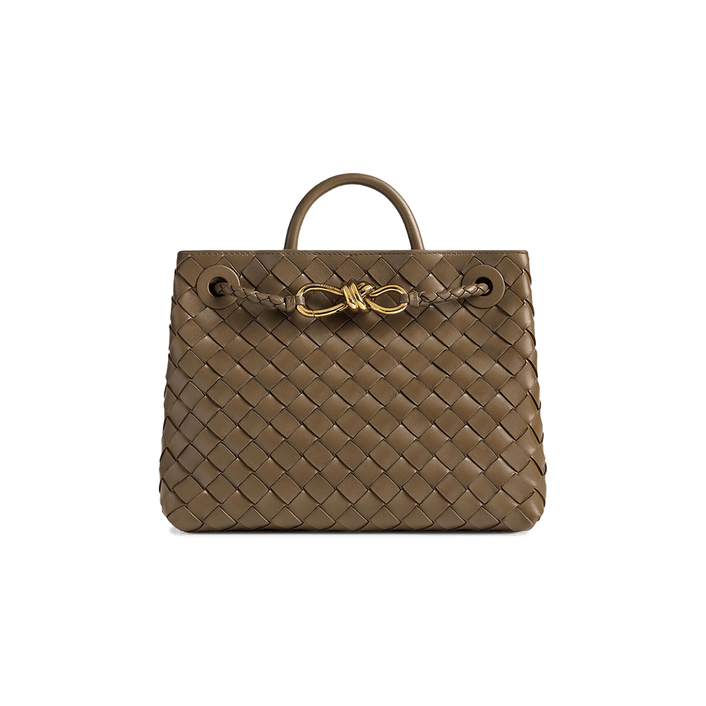 Buy Bottega Veneta Large Andiamo Bag 'Pinecone' - 766014