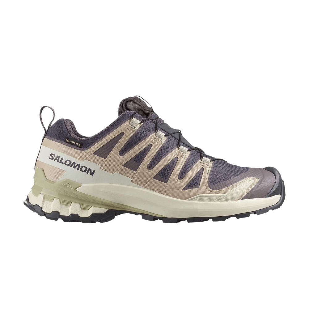 Buy Salomon Wmns XA Pro 3D V9 GORE-TEX 'Nine Iron Alfalfa
