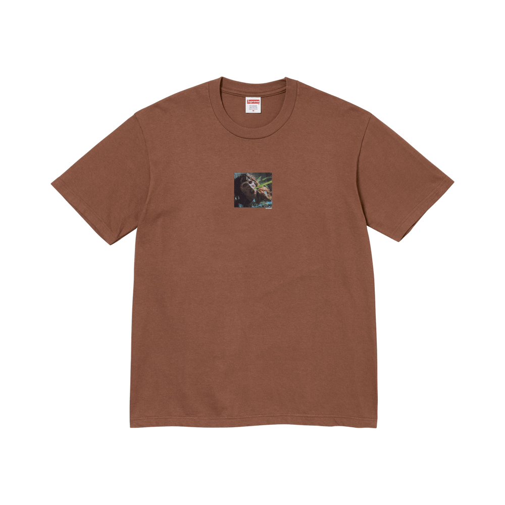 Buy Supreme x The Exorcist Puke Tee 'Brown' - FW25T6 BROWN | GOAT