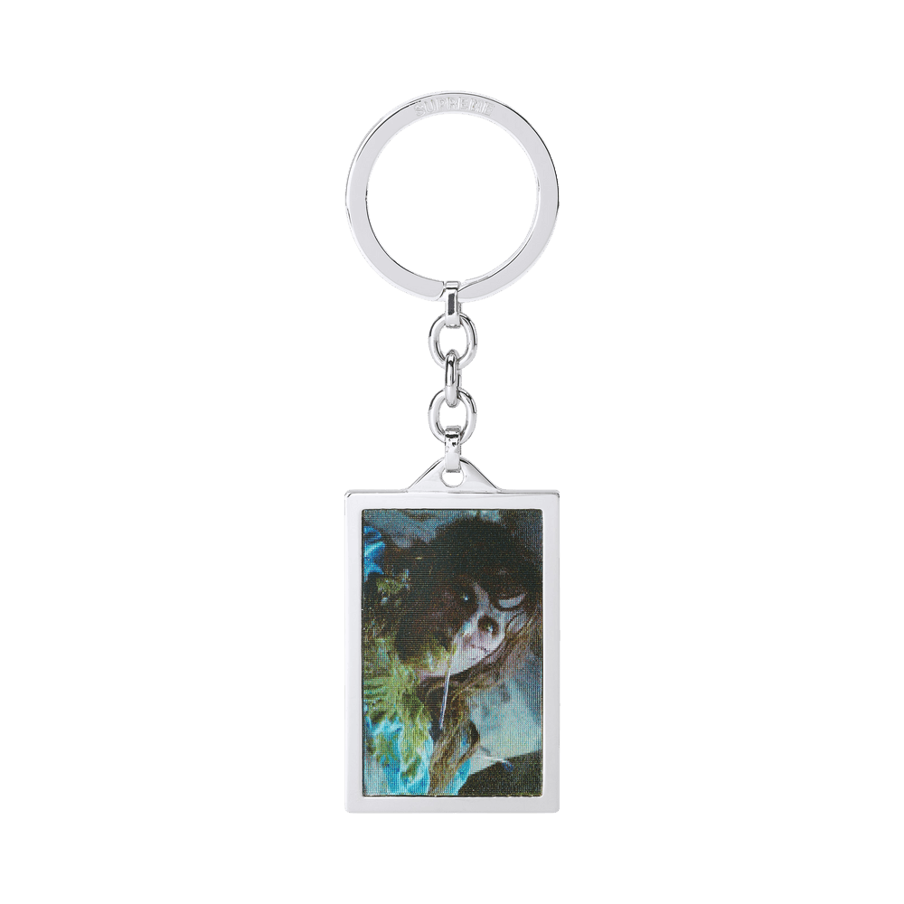 Buy Supreme x The Exorcist Keychain 'Multicolor' - FW25A13