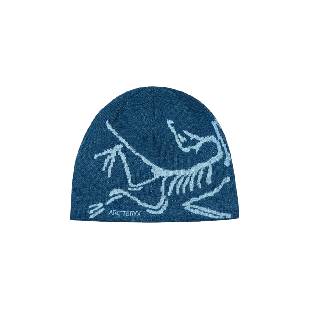 Buy Arc'teryx Bird Head Toque 'Nightscape/Glacial' - X000006756