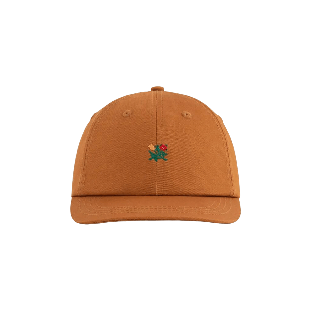 Buy Aimé Leon Dore Brushed Crest Hat 'Brown' - FW22AH067 BROW | GOAT