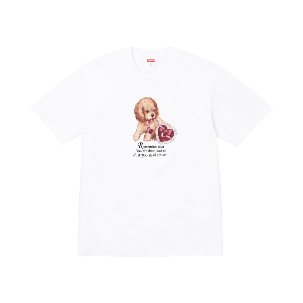 Buy Supreme Dust Tee 'White' - FW25T72 WHITE | GOAT