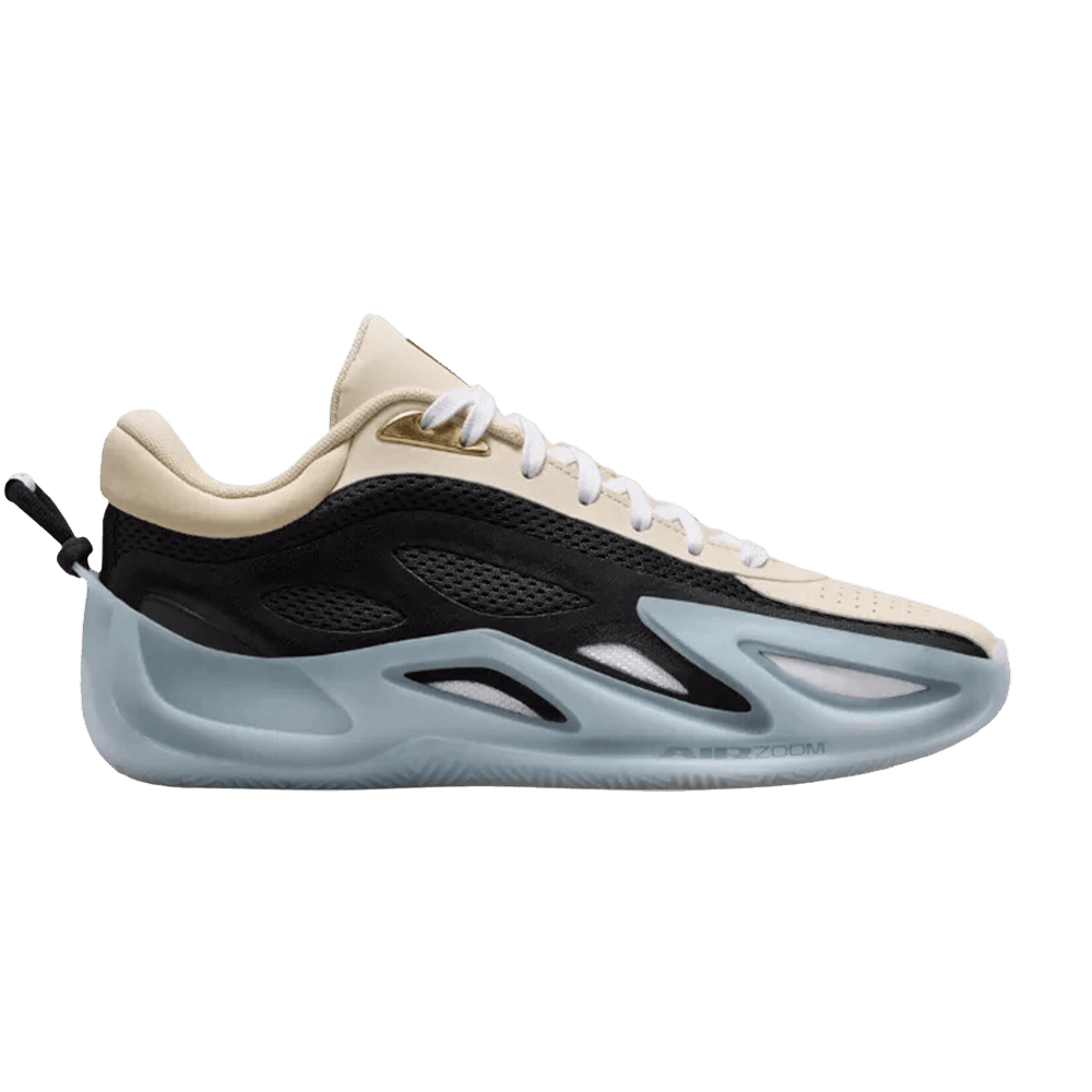 Wmns Air Jordan Heir Series 2 'WNBA'