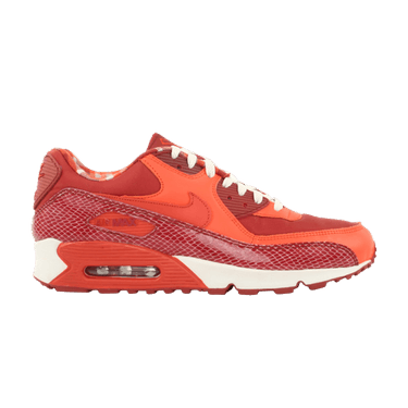 Steve nash air max 9 store