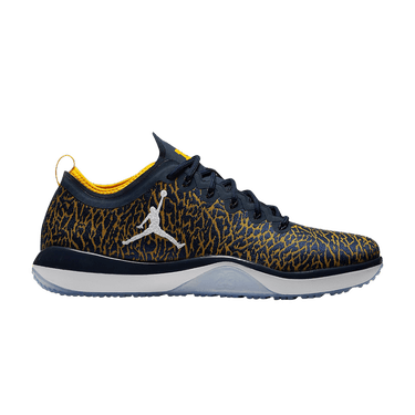 Buy Jordan Trainer 1 Low Michigan 845403 420 GOAT