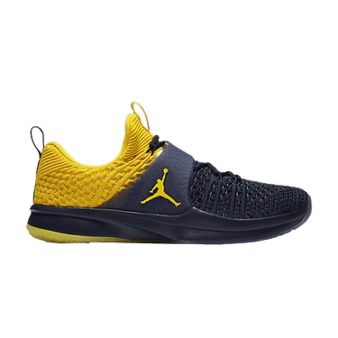 Jordan trainer 2 flyknit price hot sale