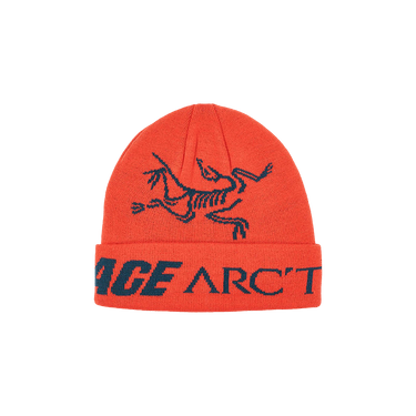palace x arcteryx beanie