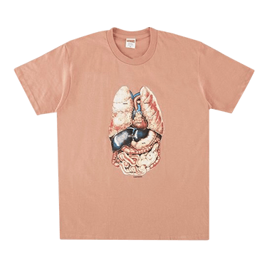 Buy Supreme Guts Tee 'Terra Cotta' - FW18T34 TERRA COTTA | GOAT