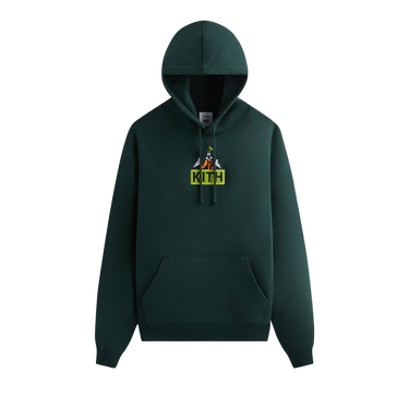 Hoodie hobbymaterial palace irie