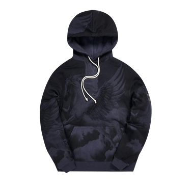 Buy Kith Pegasus Williams 3 Hoodie Black KH2432 100 GOAT