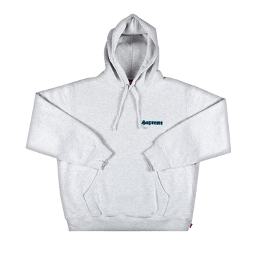 Buy Supreme Love Hooded Sweatshirt 'Ash Grey' - SS21SW8 ASH