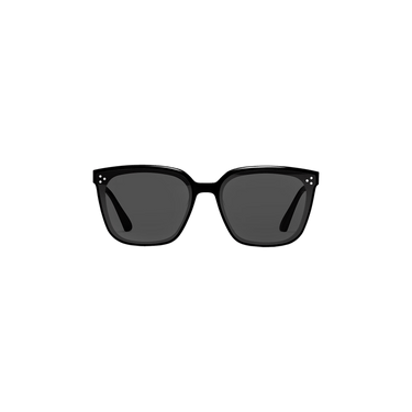 Buy Gentle Monster Palette 01 Small Sunglasses 'Black' - PALETTE S