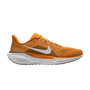 Nike Air Zoom Pegasus 41 'Tennessee'